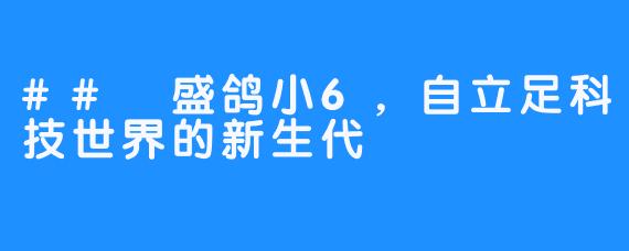 ## 盛鸽小6，自立足科技世界的新生代