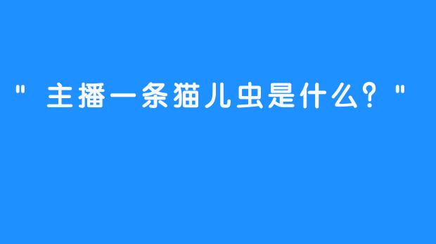 “主播一条猫儿虫是什么？”