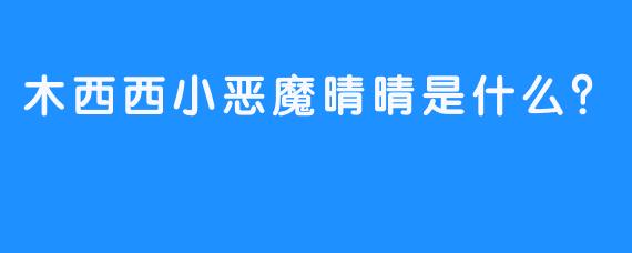 木西西小恶魔晴晴是什么？