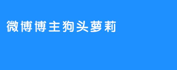 微博博主“狗头萝莉”的走红故事