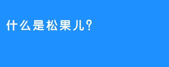 什么是松果儿？