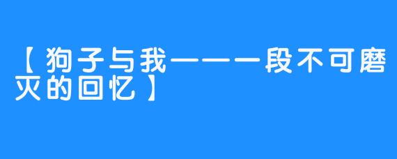 【狗子与我——一段不可磨灭的回忆】