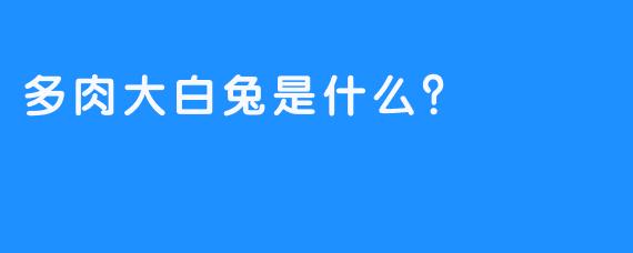 多肉大白兔是什么？