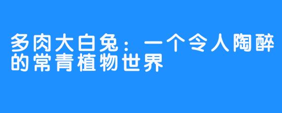 多肉大白兔：一个令人陶醉的常青植物世界