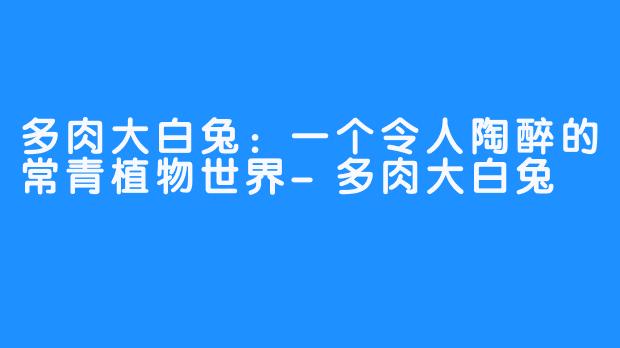 多肉大白兔：一个令人陶醉的常青植物世界-多肉大白兔