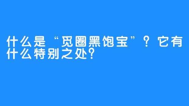 什么是“觅圈黑饱宝”？它有什么特别之处？