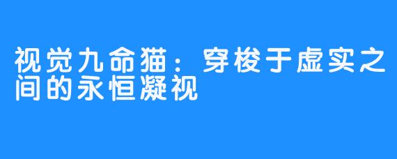 视觉九命猫：穿梭于虚实之间的永恒凝视