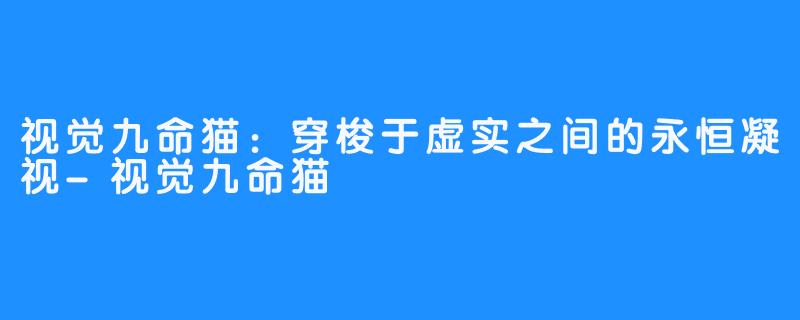 视觉九命猫：穿梭于虚实之间的永恒凝视-视觉九命猫