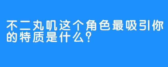 不二丸叽这个角色最吸引你的特质是什么?