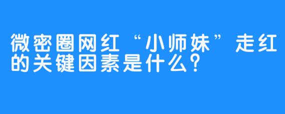 微密圈网红“小师妹”走红的关键因素是什么？