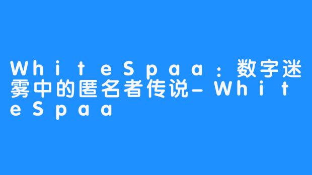 WhiteSpaa：数字迷雾中的匿名者传说-WhiteSpaa