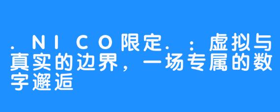 .NICO限定.:虚拟与真实的边界,一场专属的数字邂逅