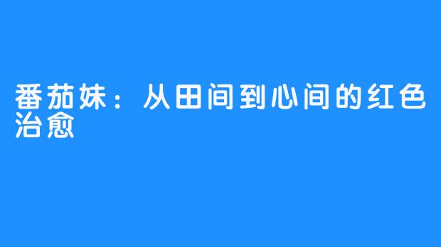 番茄妹：从田间到心间的红色治愈