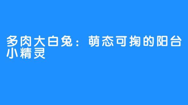 多肉大白兔:萌态可掬的阳台小精灵