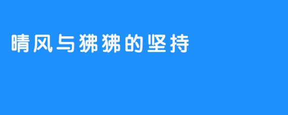 晴风与狒狒的坚持
