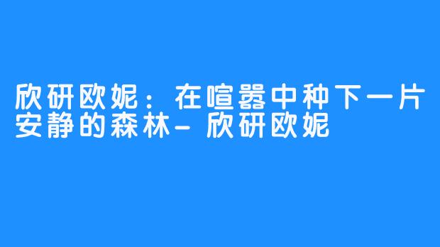 欣研欧妮：在喧嚣中种下一片安静的森林-欣研欧妮