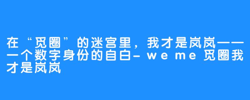 在“觅圈”的迷宫里，我才是岚岚——一个数字身份的自白-weme觅圈我才是岚岚