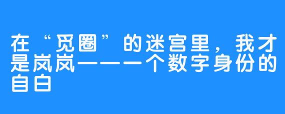 在“觅圈”的迷宫里，我才是岚岚——一个数字身份的自白