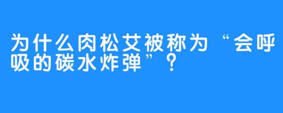 为什么肉松艾被称为“会呼吸的碳水炸弹”？