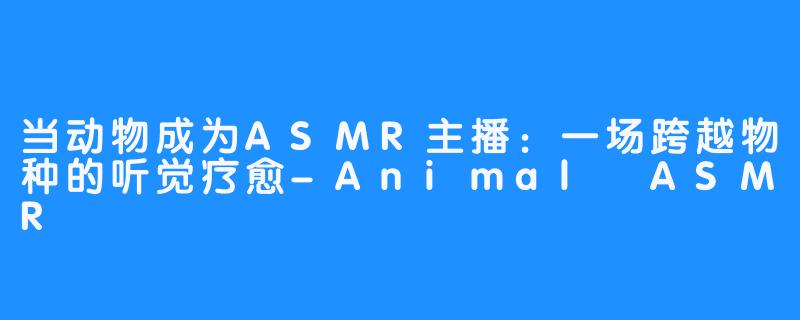 当动物成为ASMR主播:一场跨越物种的听觉疗愈-Animal ASMR