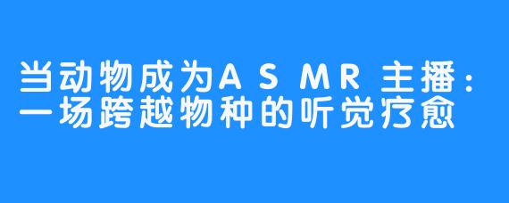 当动物成为ASMR主播：一场跨越物种的听觉疗愈